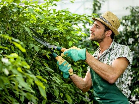 Gardener inspecting flower beds during a site visit for a garden care complaint