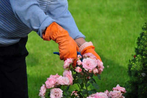 A gardener wearing a grey long-sleeved shirt and bright orange gloves is tending to a flower bed filled with blooming pink roses. The garden features a lush, well-maintained green lawn in the background, with dense shrubbery and small trees lining the edges, creating a neat and structured outdoor space. The flower bed with roses appears to be bordering a paved pathway or garden border, and the overall scene is well-lit, suggesting a bright, sunny day. This setting showcases detailed garden maintenance activity, emphasizing quality landscaping and plant care that aligns with professional gardening services offered in Haringey, London, and its surrounding areas.