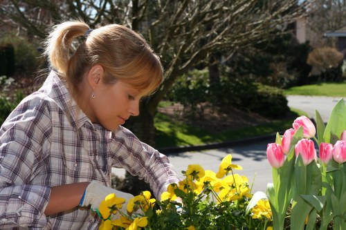 Final walkthrough of a restored garden after remedial maintenance work